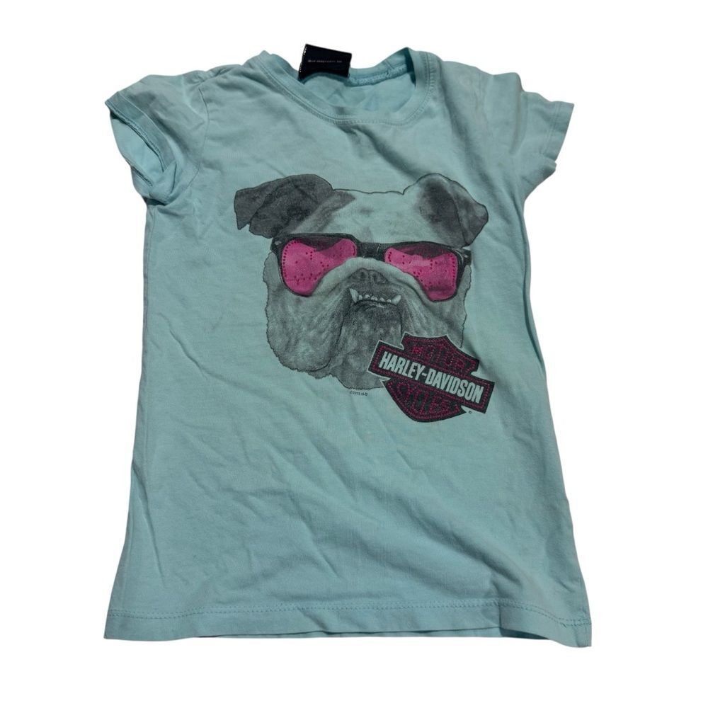 Harley Davidson Mint Blue Short Sleeve Graphic T-Shirt